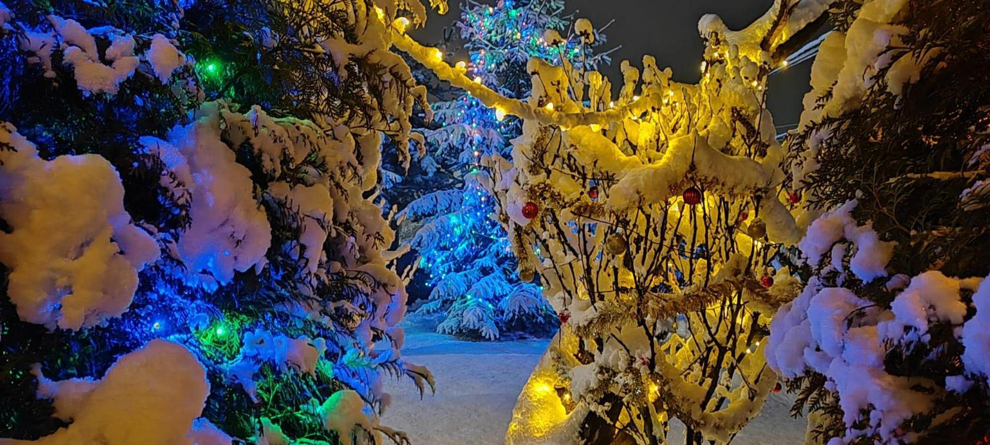 Вилла Eden Garden Совата Экстерьер фото